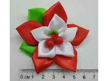 Cherry-95���.jpg
