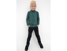 20120160180   Gemini   �����-�������.jpg