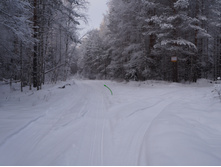 �������� ����� �������.