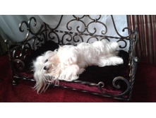 48062984 365133257573110 1838617895316226048 n.jpg