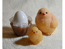 �������� � ����