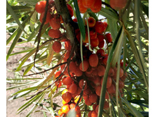 IMG 20180812 132405.jpg