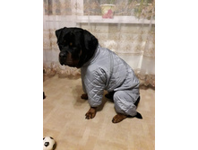 ���� ������.jpg