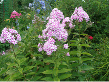 ��������*)