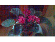 ��-�����