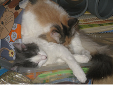 IMG 9746.JPG