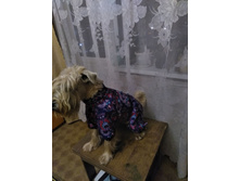 48389086 202481387370187 9149508795615936512 n.jpg