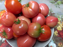 IMG 20181201 113147336.jpg