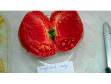 ������� ���