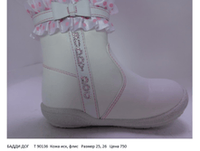 5ba478c7ba1c3 90136 ozha isk flis azmer 25 26 ena 750.png