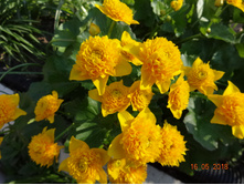 DSC04357.JPG