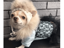 IMG 20181204 135523.png