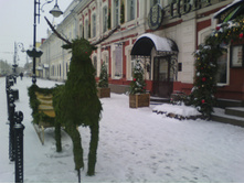 IMG 20181231 140315.jpg