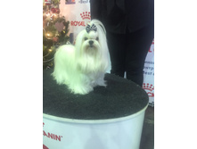 48371788 2051332324962904 7254540667383185408 n.jpg