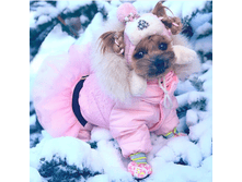 IMG 20181129 093555.png