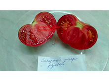 ��������� ���� �������, �����