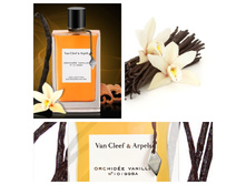 COLLECTION EXTRAORDINAIRE ORCHIDEE VANILLE VAN CLEEF � � 75�� 8900 +%+����