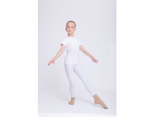 ������ �1.1 ޣ����. ���� 270 ���.