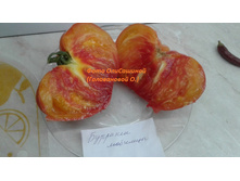 ������������ �������