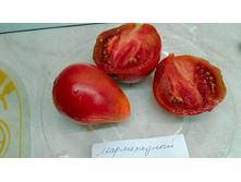 ����������� ��������, �����