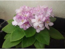 ��-��������� ���.jpg