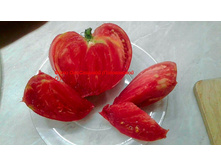 ��� ����������� ������� .jpg