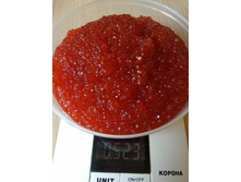 ����� 355�