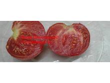 �������� ����, �����