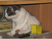 IMG 9730.JPG
