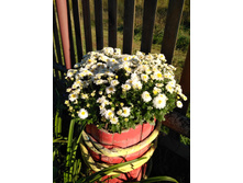 IMG 20180930 150227.jpg