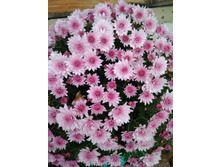 IMG 20181026 150100.jpg