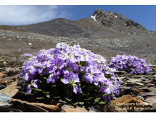 ��������� �����