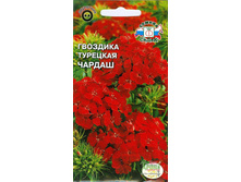 �������� �������� ������.jpg