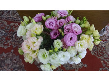 �����  �� ������ �������� 2018 �