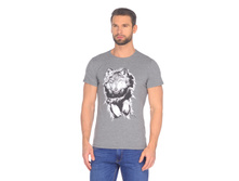 35126 �.������.jpg