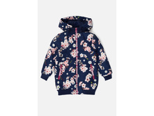 20210130172   Lipa   �������(���).jpg