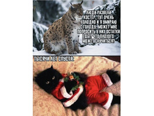 ��� ��� ����� ���