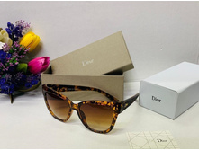 310 � ����, �����