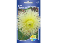 ����� ������ ������