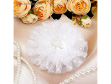 ���� ��� ������� "���������", ����� 28,40� ��� 6��