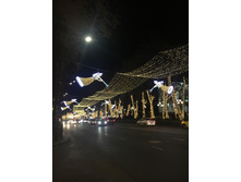63202B32-4E76-424B-B078-CC20367373EA.jpeg