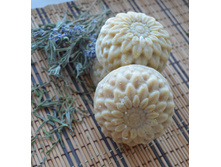 ���� � ����������