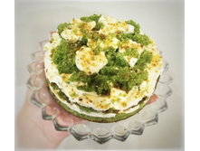 IMG 20190125 210457-01.jpeg