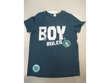 20120110174   Tesla   �����-�������.jpg