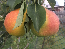 ����� ���� ������ ����� �4  545�