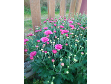 IMG 20180922 173609.jpg