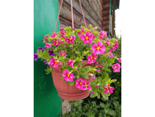 IMG 20180808 162553.jpg