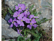 ��������� �����