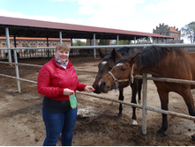 ��� 2017. ������.