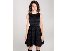 ���. ����